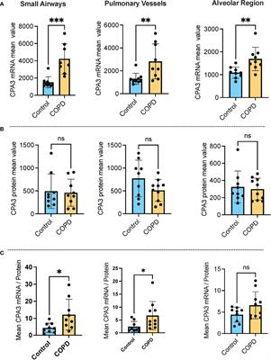 Dynamically upregulated mast cell CPA3 patterns in chronic obstructive pulmonary disease and idiopathic pulmonary fibrosis